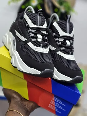 Dior B22