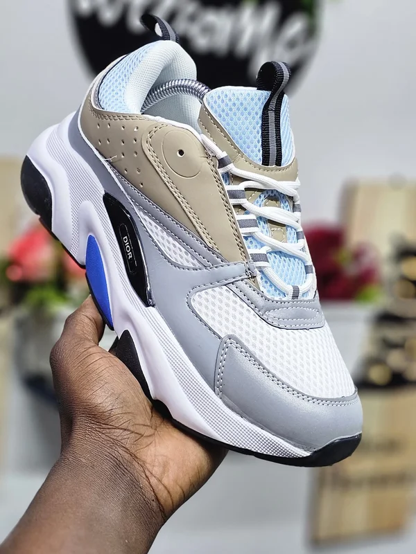 Dior B22 additional